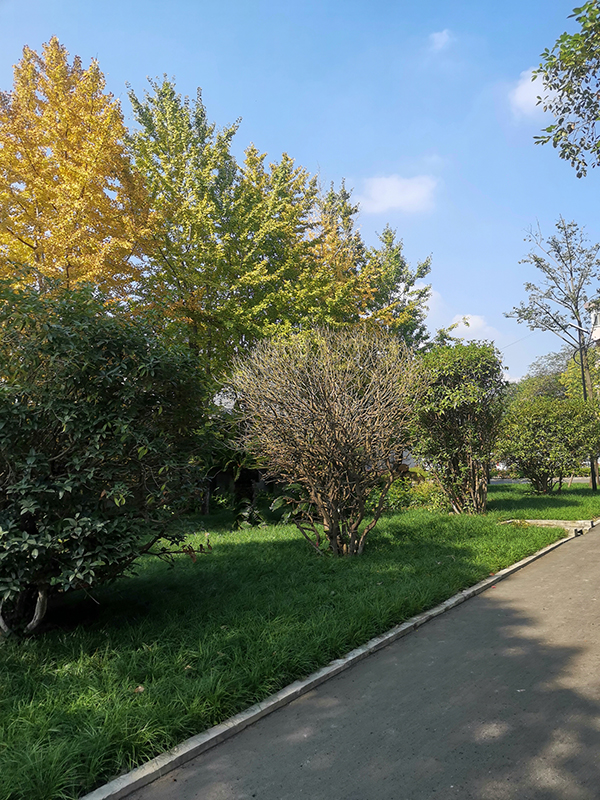 8XBET（中国）一站式服务平台