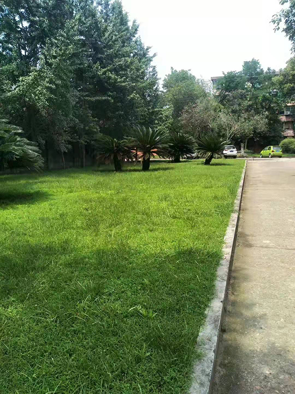 8XBET（中国）一站式服务平台